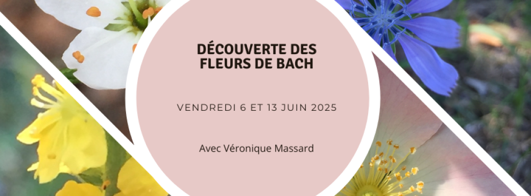 Découverte des fleurs de Bach