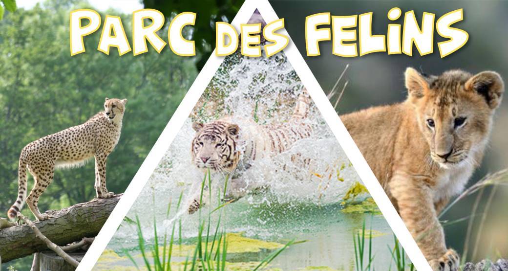 Découverte du Parc des Félins - DAY TRIP - 2 novembre