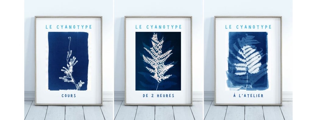 Découvrir le procédé du Cyanotype et s’initier à cette technique photographique