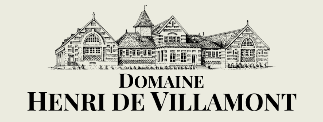 Dégustation Spéciale Vente des Vins Hospices de Beaune 