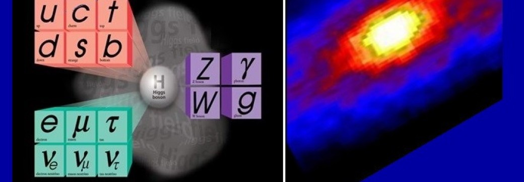 Des bizarreries du Modèle standard à l'exploration de l'univers : Le Neutrino