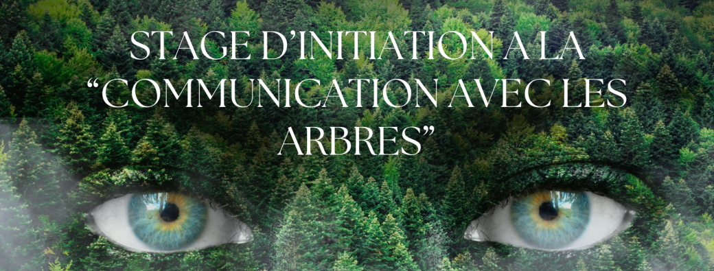 Dialoguer avec la Nature - Stage d'initiation à la communication avec les arbres (Niveau 1)