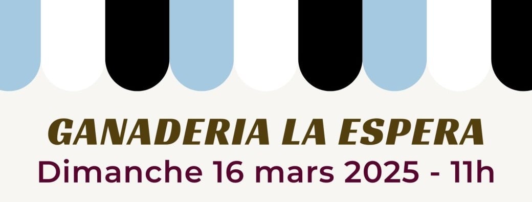 Dimanche 16 mars 2025 - Tristan Barroso x Ganaderia La Espera