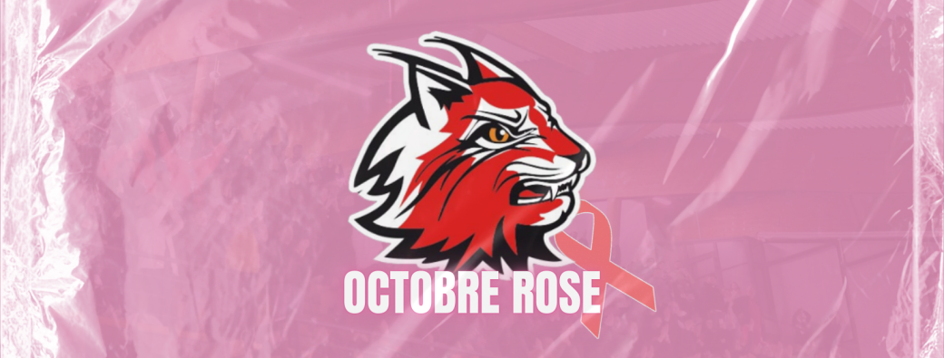 Division 2 - Match Octobre Rose  : Valence - Montpellier