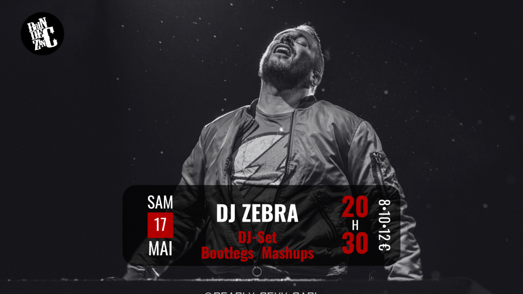 DJ ZEBRA (Dj-Set • Bootlegs - Mashups)