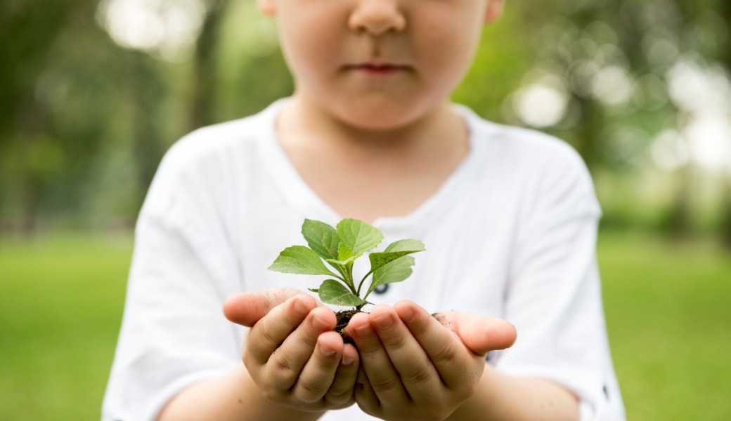 Ecologie intégrale : Prendre connaissance des enjeux. Constats, causes, horizons