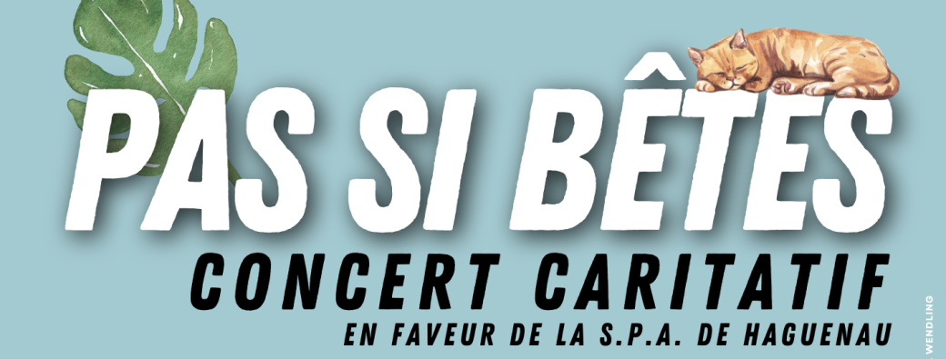 PAS SI BÊTES - Concert caritatif en faveur de la S.P.A.