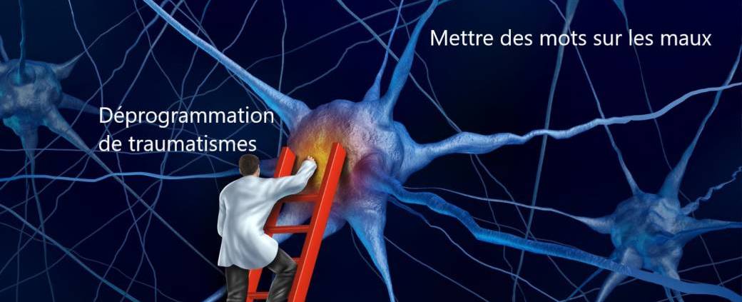 Enseignement accéléré en Neuro-thérapie Holistique