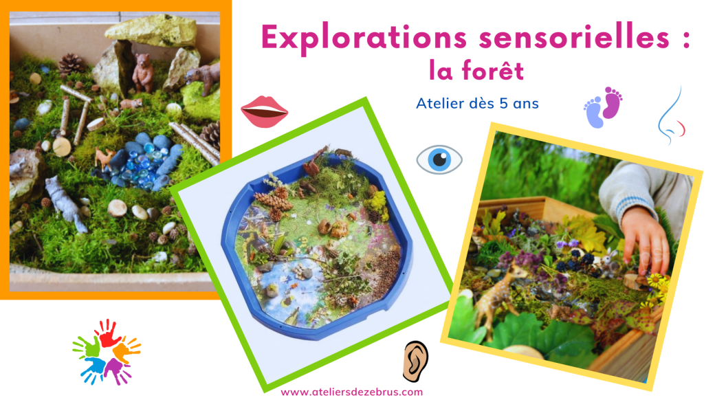 Explorations sensorielles : la forêt (dès 5 ans)