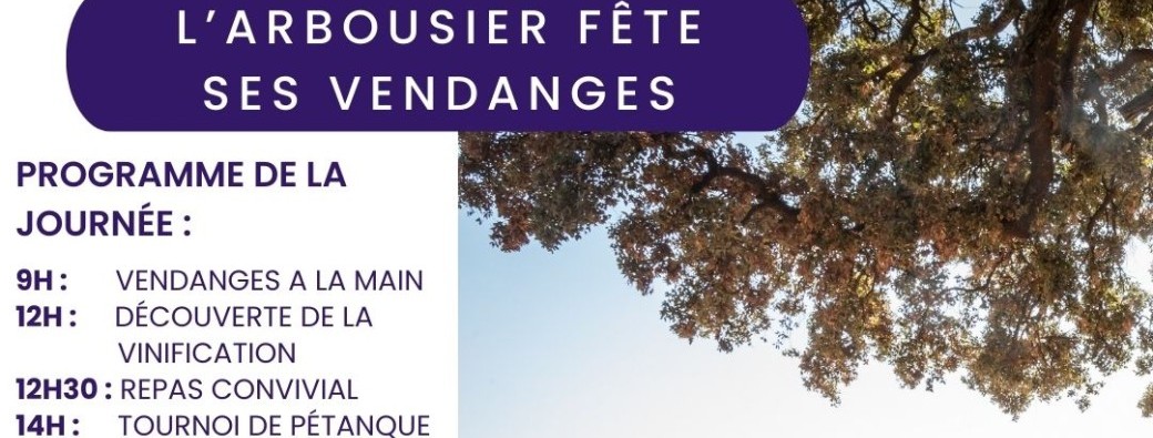 Fêtes des Vendanges 2024 