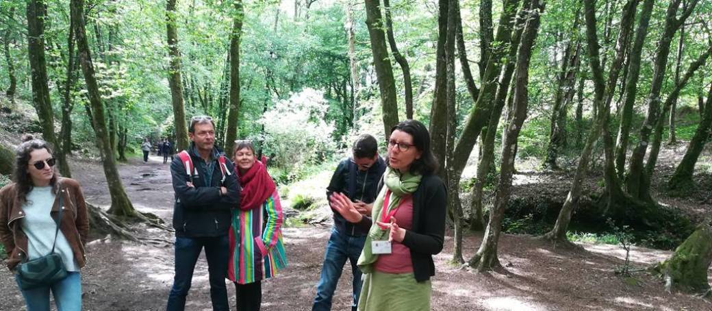 Flânerie contée en Brocéliande