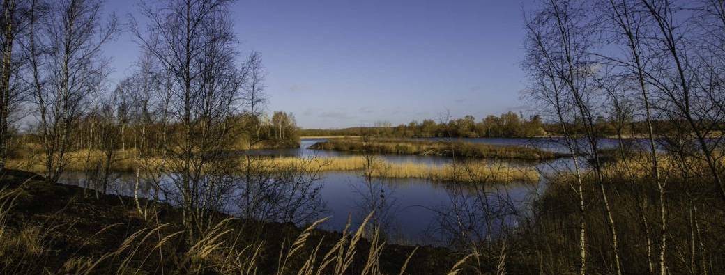 Formation "Biodiversité, tous reliés !"