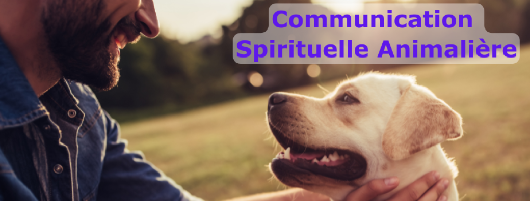 Formation Communication Spirituelle Animalière