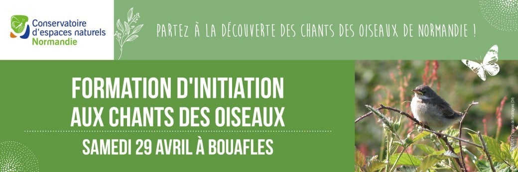 Formation d'initiation aux chants des oiseaux