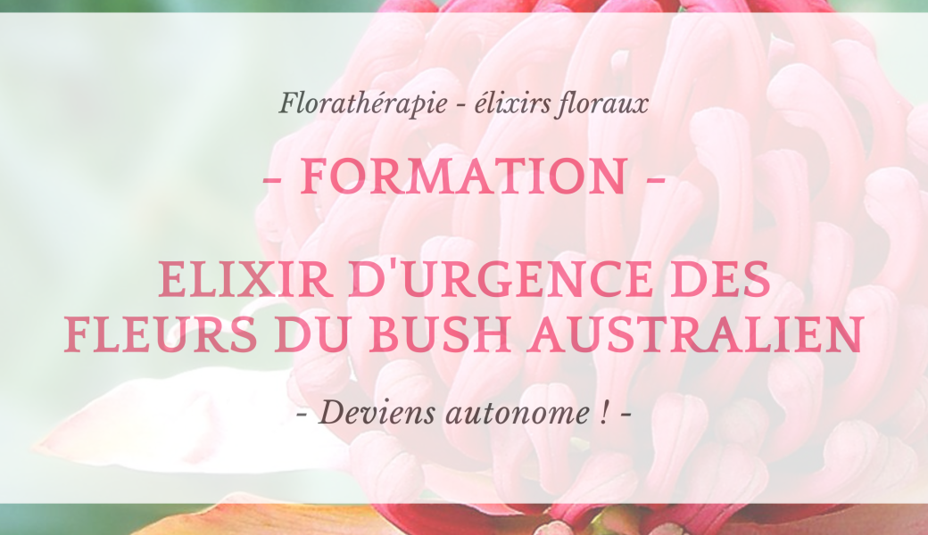 FORMATION - Elixirs d'urgence des fleurs des Bush Australien