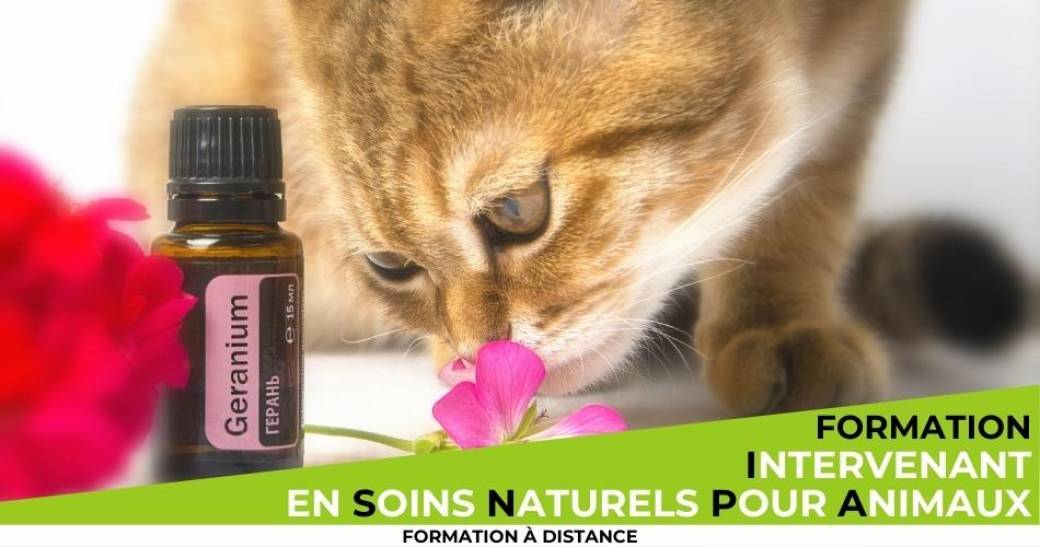 Naturopathie animale