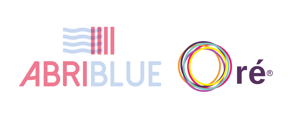 Formation protéger avec Abriblue et ORÉ à Aix en Provence (13)