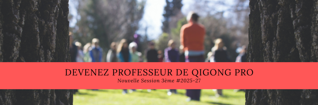 Formation Qi Gong Santé #2025  3ème Année