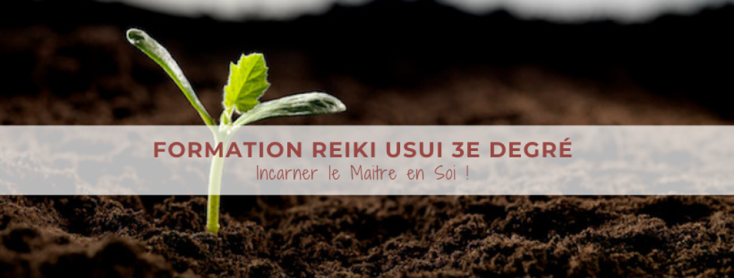 Formation Reiki Usui 3e Degré - Incarner le maitre en soi !