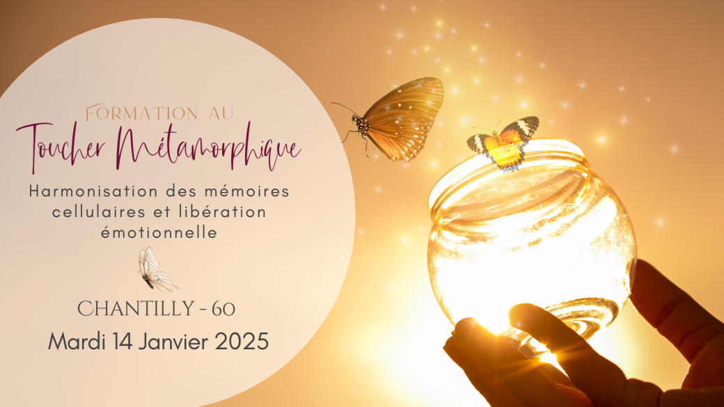 Formation Toucher Métamorphique 14 Janvier 2025