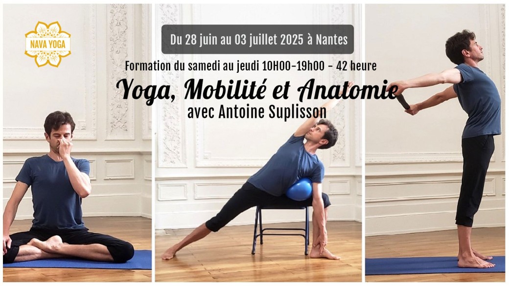 Formation Yoga, Mobilité et Anatomie avec Antoine Suplisson