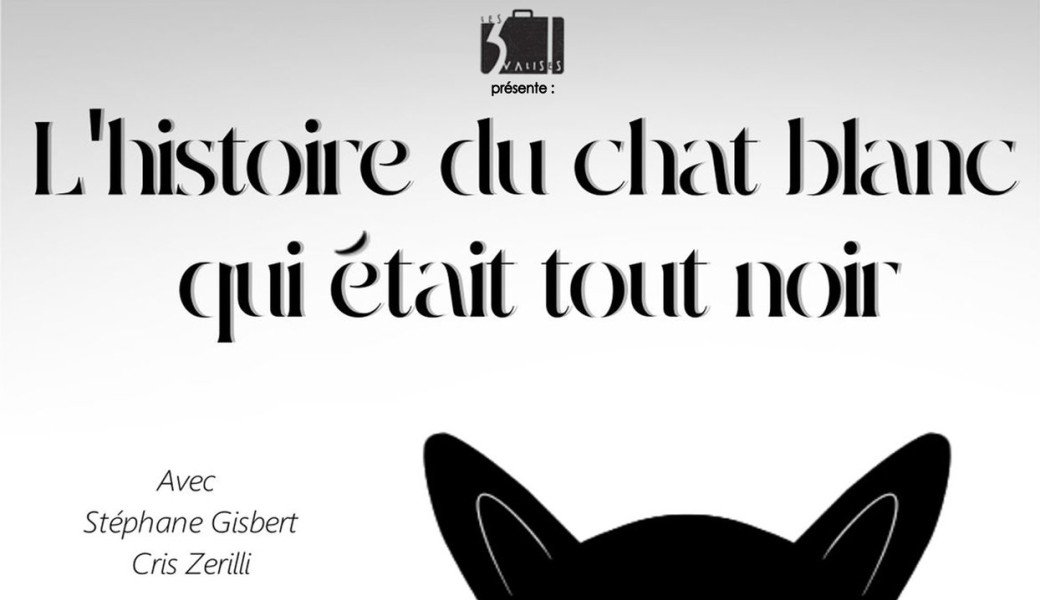 HISTOIRE DU CHAT BLANC QUI ÉTAIT TOUT NOIR - Théâtre & marionnettes pour les 3-6 ans