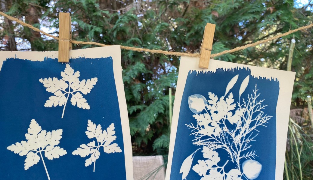 Initiation au cyanotype 