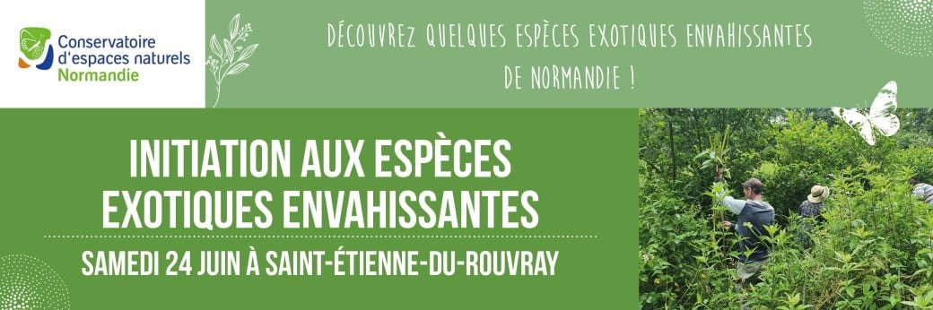 Initiation et chantier : espèces exotiques envahissantes