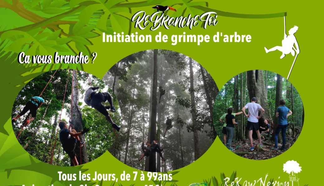 Initiation Grimpe d'arbre à Rekawnexion