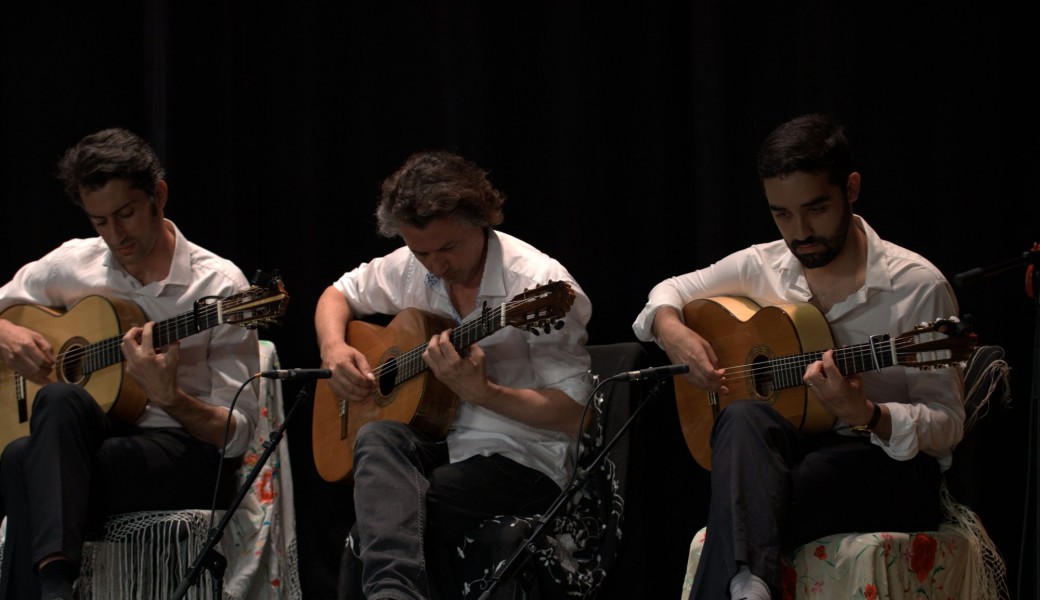 Tickets : Inscriptions cours guitare flamenca année 2022-2023 - Billetweb