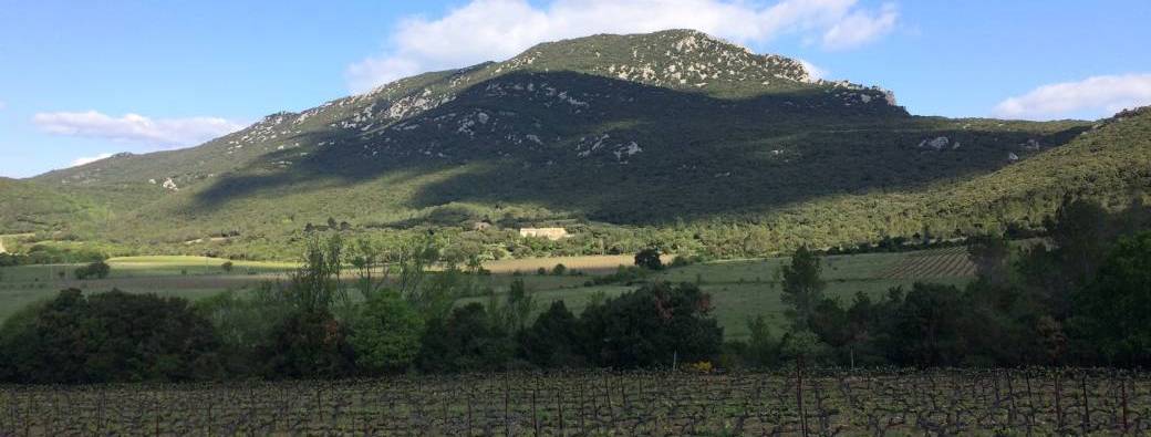 Invitation au Domaine de Mortiès – Événement en AOP Pic Saint-Loup