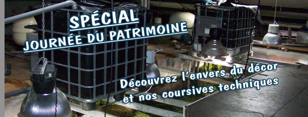 Journée du patrimoine - Visite des coursives techniques