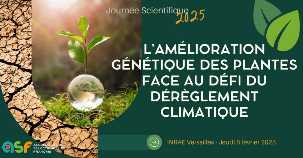 L’amélioration génétique des plantes face au défi du dérèglement climatique