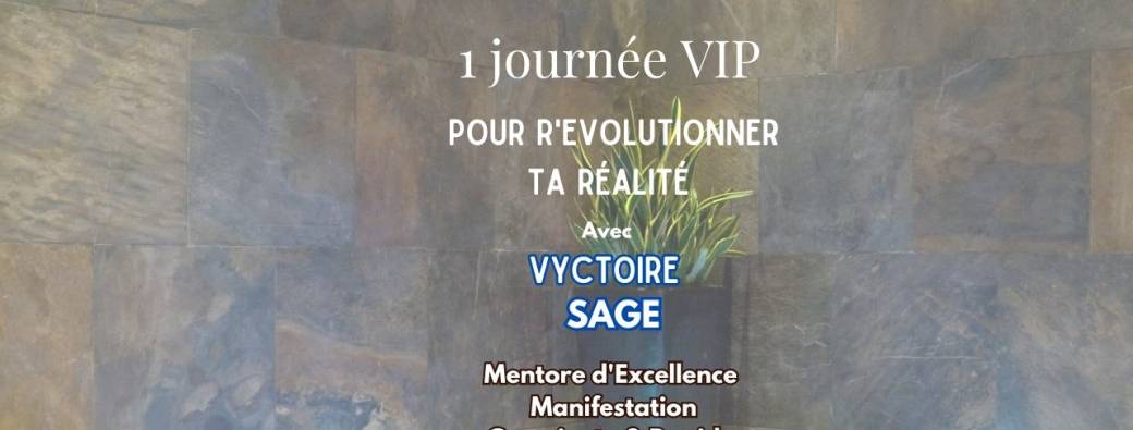 Journée VIP : immersion présentielle