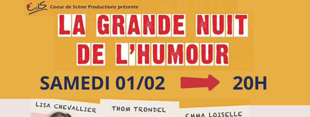 La grande nuit de l'humour 