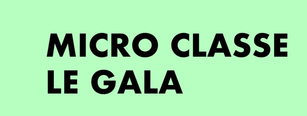 La Micro classe - Le gala