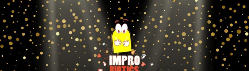 La nuit de l'impro 2025