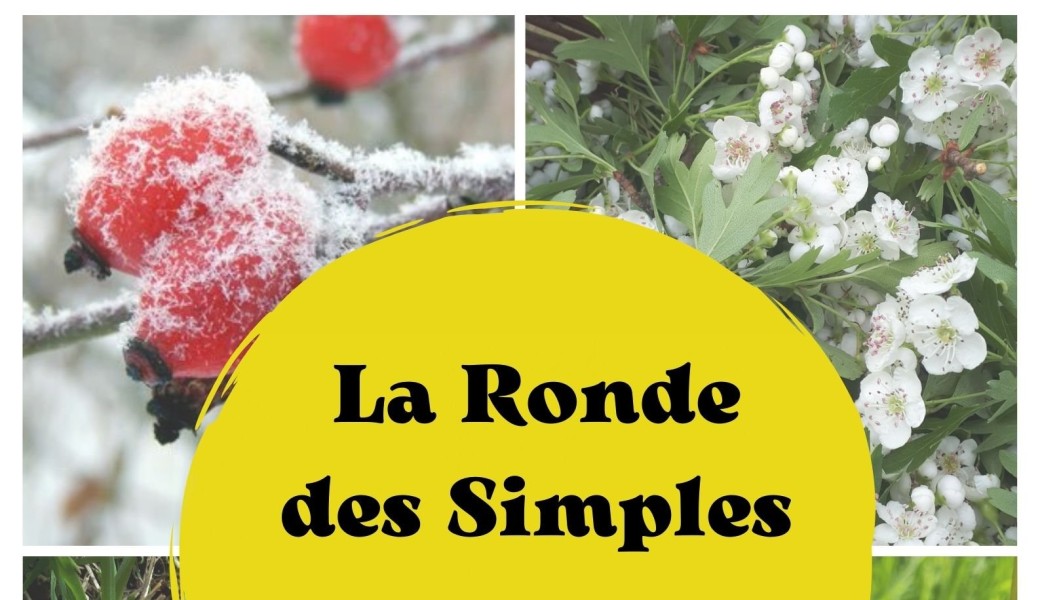 LA RONDE DES SIMPLES 