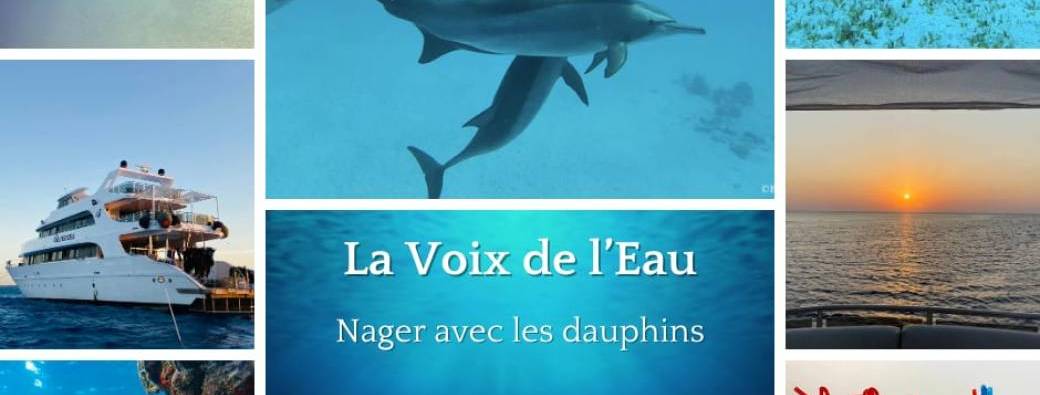 La Voix de l'eau