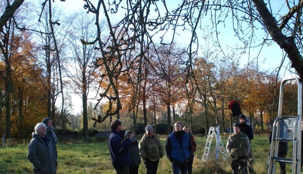 Atelier : L'arbre fruitier au jardin