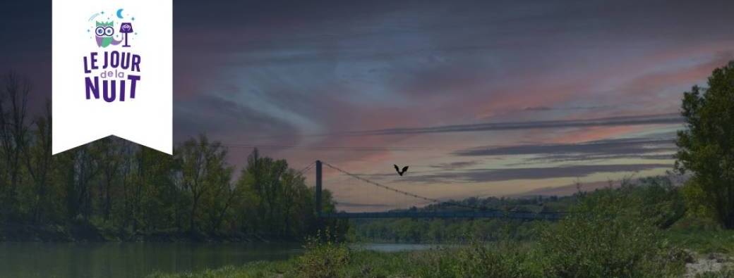 Le jour de la nuit - Balade nocturne, sur les traces de la biodiversité de la nuit