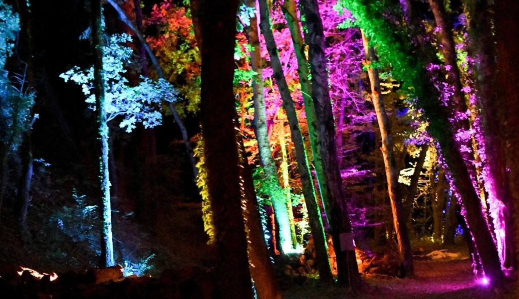 Le Sentier des Lucioles - Spectacle conté