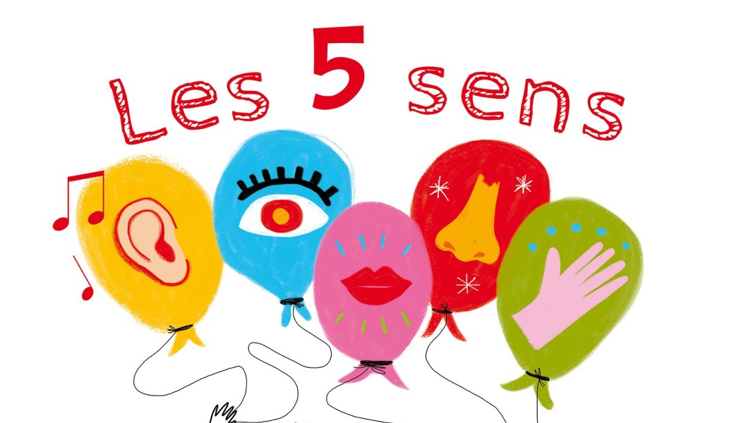 Les 5 sens de bonhomme de couleurs