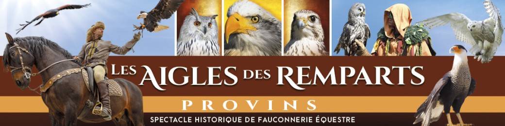 Les Aigles des Remparts 2025