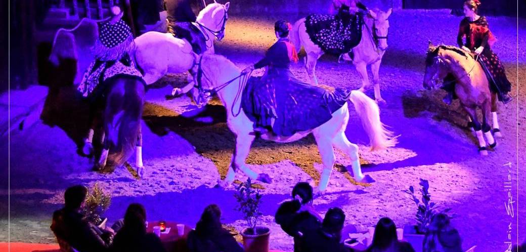 Les chevaux dansent à la bodega