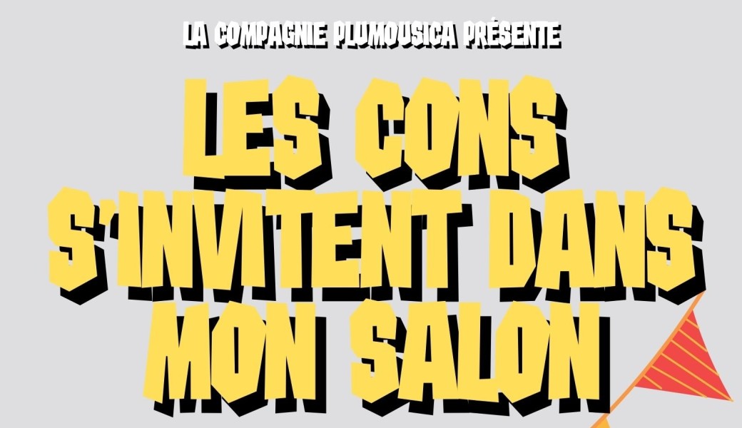 Les cons s'invitent dans mon salon (à Fretin - 59)