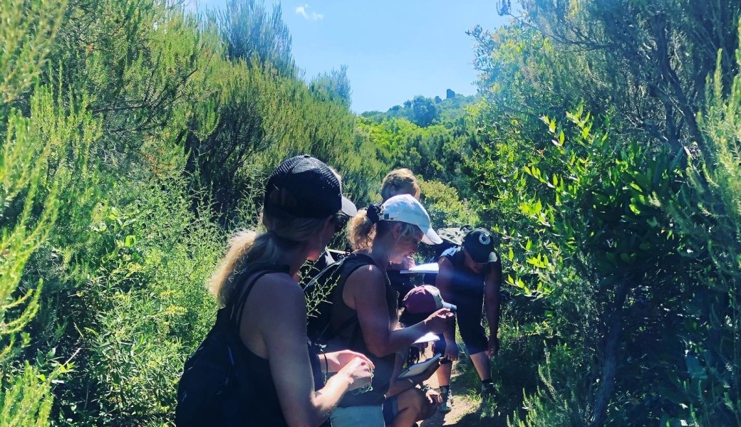 Les plantes du maquis Corse à Ajaccio avec Sortie balade et Atelier