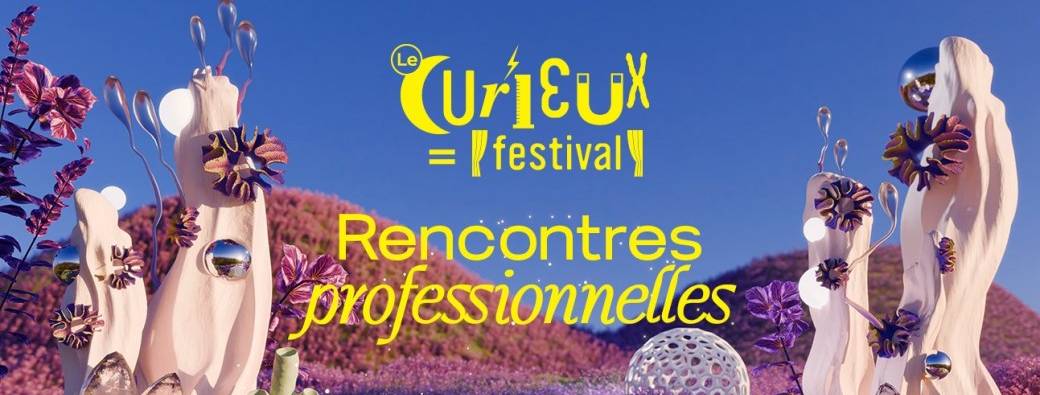 Les rencontres professionnelles du Curieux Festival