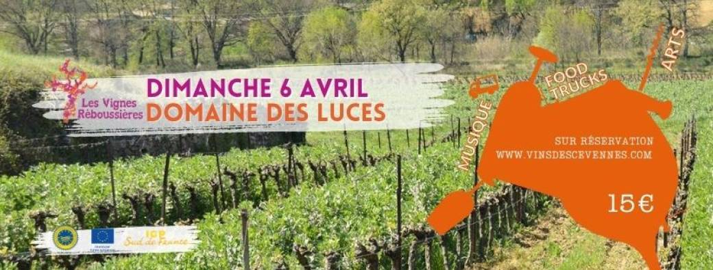 Les Vignes Réboussières