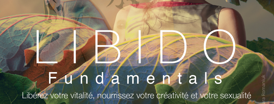 LIBIDO FUNDAMENTALS - 3 JOURS